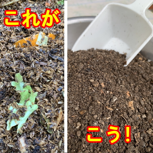 マグマGoGo生ごみ昇華★発熱分解実感!!生ゴミ捨てが快楽に…コンポスト,堆肥化,リサイクル,循環,エコ,フードロス,解消,発酵,SDGs,処理機_画像7