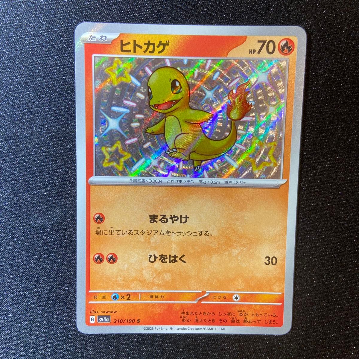 ヒトカゲ S 色違い シャイニートレジャーex ポケモンカード ヒトカゲ S 色違い シャイニートレジャーex ポケモンカード