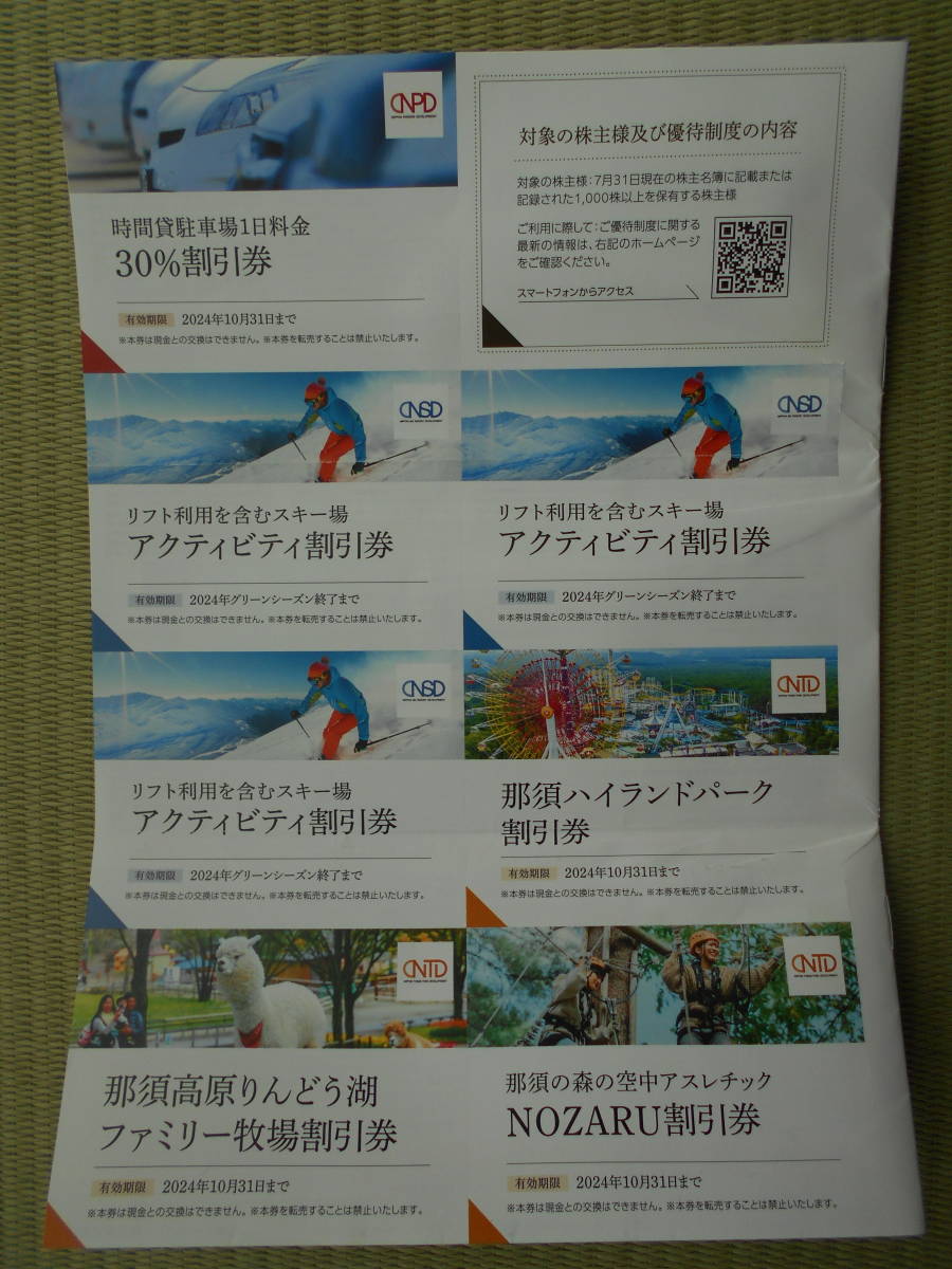 日本駐車場開発 株主優待割引券(駐車場・リフト・他)　 　紙チケット_画像1