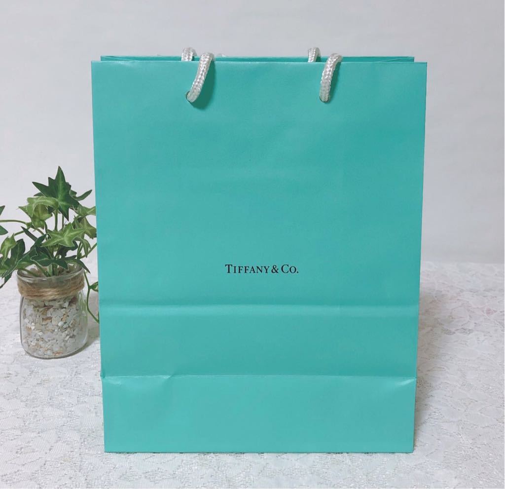 ティファニー「TIFFANY&Co.」ショッパー 小物箱サイズ (3044) 正規品 付属品 ショップ袋 ブランド紙袋 封筒付き 折らずに配送の画像4