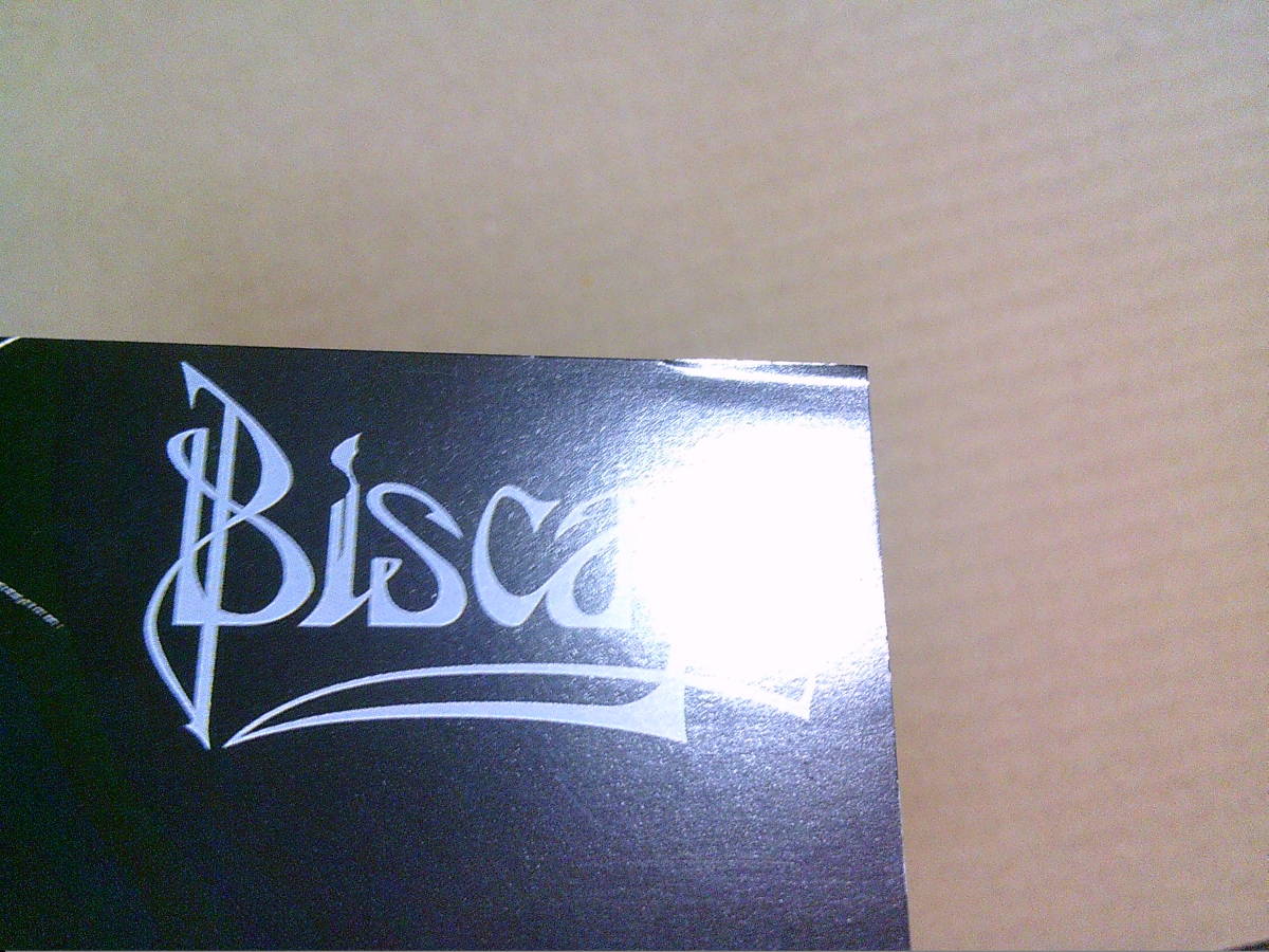 BISCAYA[ビスカヤ/北欧の戦士]CD 旧規格_画像5
