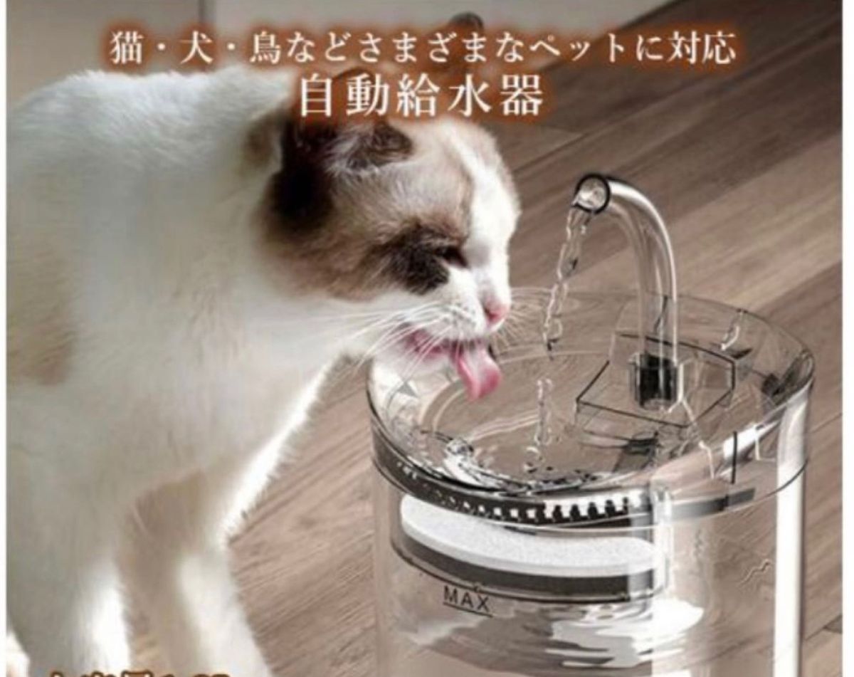 猫 みずのみ 自動給水器 猫 水飲み器 ペット給水器 6枚活性炭フィルターあり