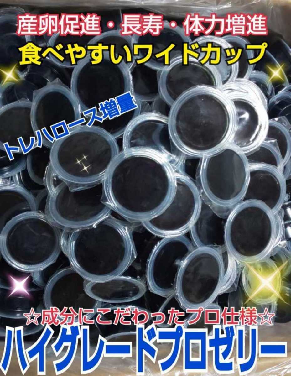 ビタミン強化配合！長生きする！特選ハイグレードプロゼリー【100個】クワガタの餌　カブトムシの餌　昆虫ゼリー☆食べやすいワイドカップ_ブラックはビタミン強化配合！