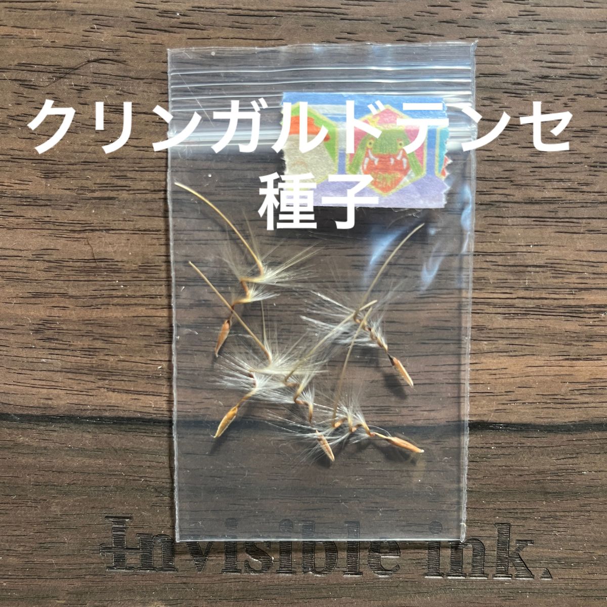 希少種子 5粒】ペラルゴニウム クリンガルドテンセ 種子 5粒 希少種子 5粒】ペラルゴニウム クリンガルドテンセ 種子 5粒