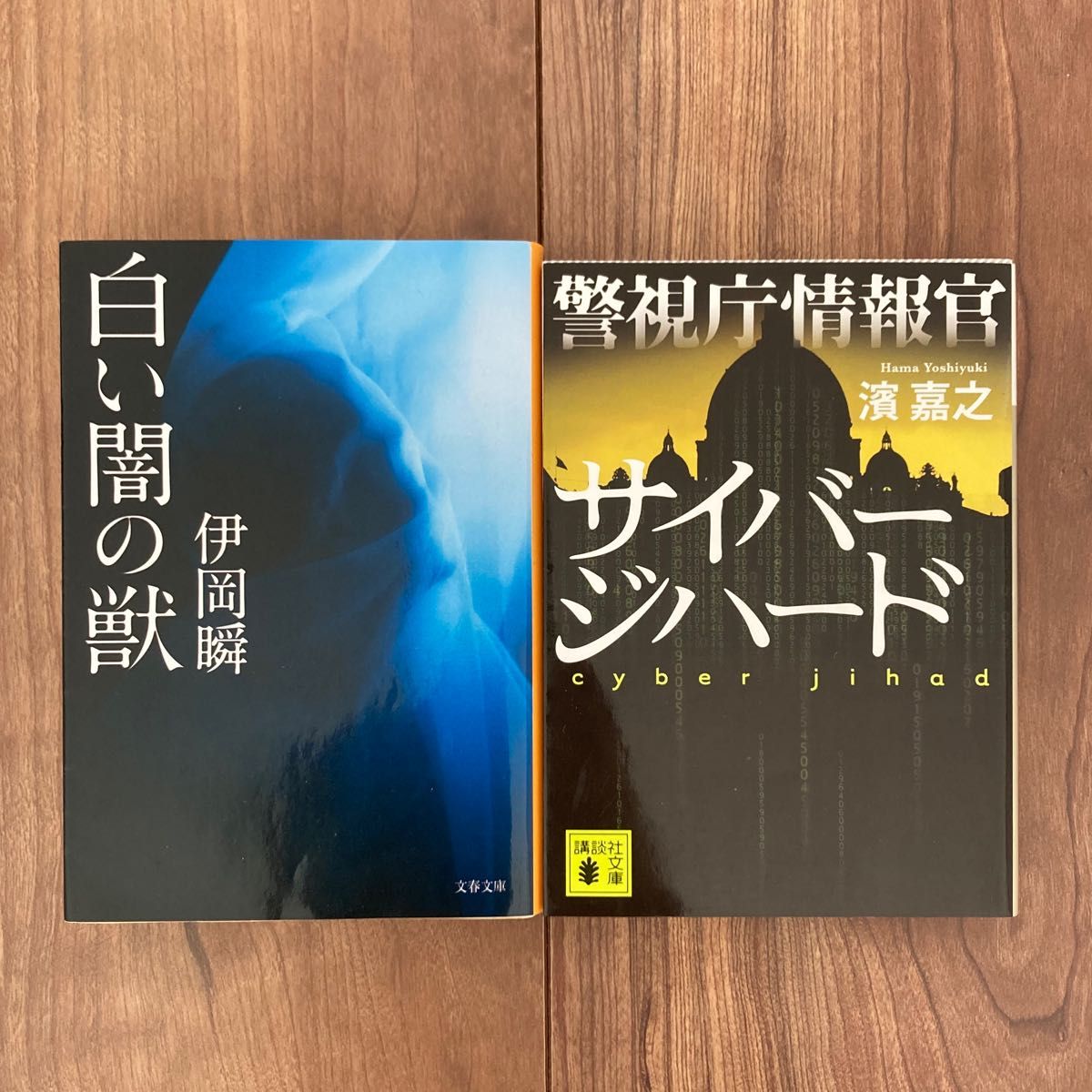 2冊セット 伊岡瞬「白い闇の獣」/濱義之  「サイバージハード」