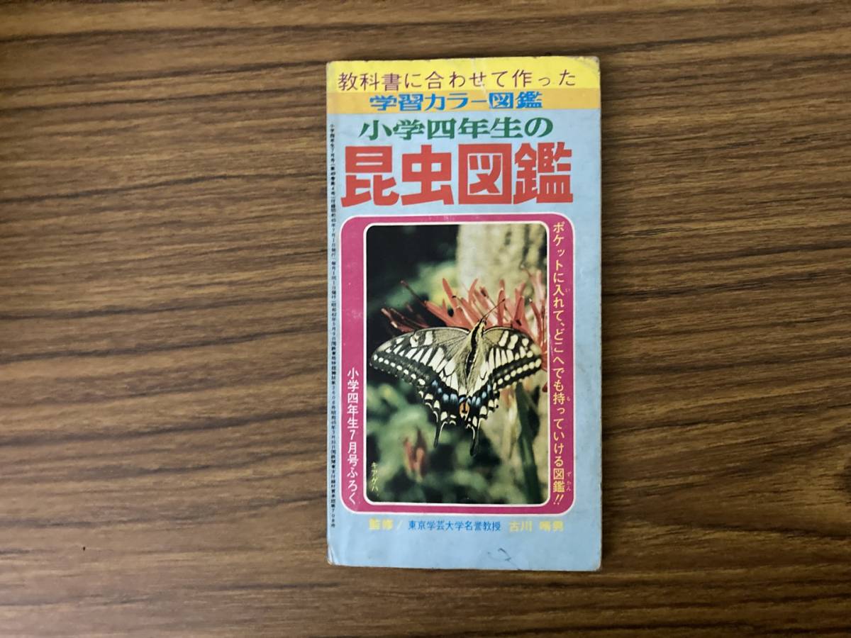 学習カラー図鑑　小学四年生の昆虫図鑑　小学四年生昭和45年7月号ふろく　小学館 /Z3_画像1