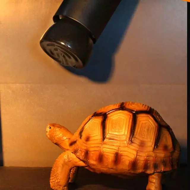 { new goods } lamp type ceramic heater 100W less luminescence far infrared heat insulation reptiles amphibia small animals small bird also 
