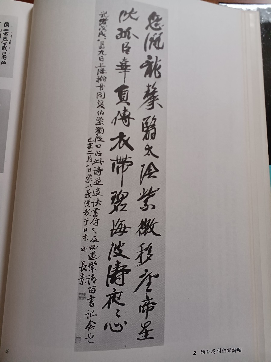 中国書法全集 78 康有爲 梁啓超 羅振玉 鄭孝胥 書道 中国 古玩 文房四宝 中国美術 _画像8