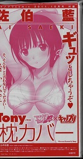 流行り の ブランド フォルト!!/佐伯藍/枕カバー/Tony/Ciel/T2 ART WORKS その他