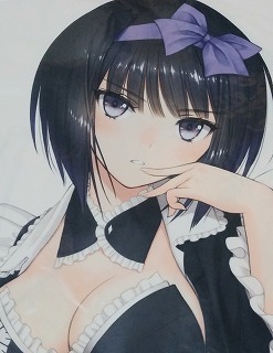 インポート・海外人気ブランド シャイニング・ブレイド/ユキヒメ/抱き枕カバー/T2 ART WORKS/Tony/Ciel/SEGA 抱き枕