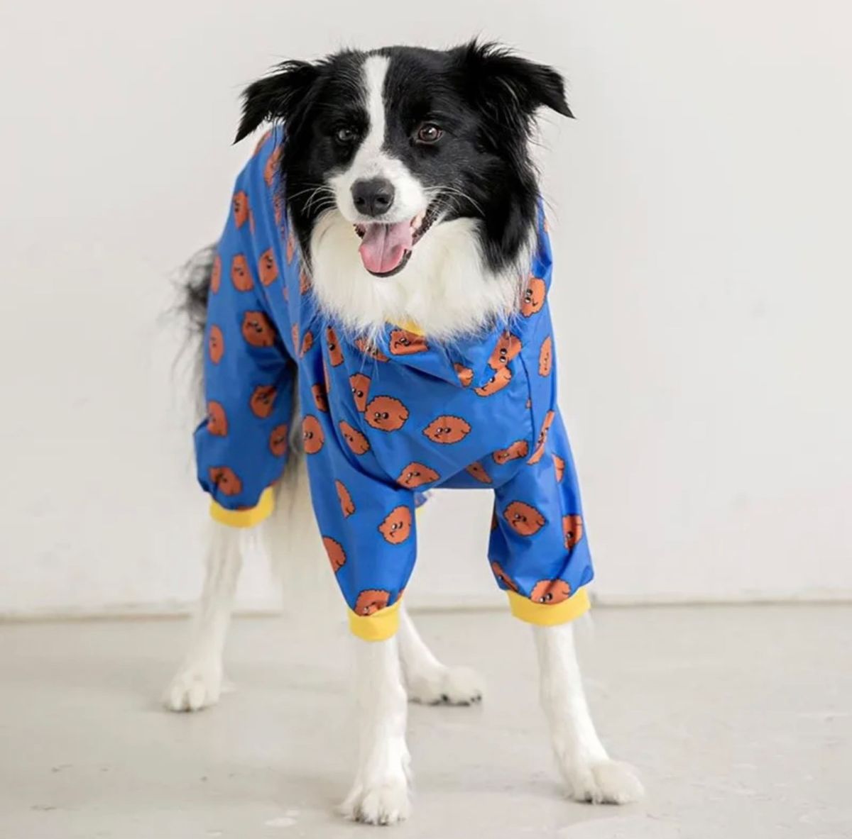 【レインコート ※5XLサイズ】犬 服 雨 ドッグウェア ペットウェア 中型犬 大型犬
