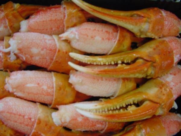 5個、美味「ずわい蟹親爪L-1kg」食べやすい、リングカット_画像6