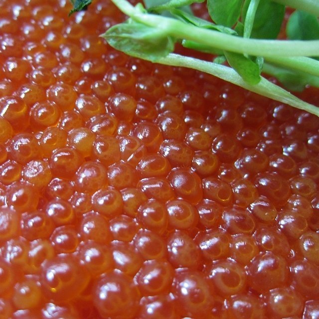 10本、極上品 「イクラ醤油味500g」もちろん、国内製造　USA産紅鮭を使用　_画像8