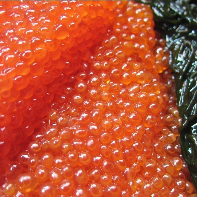 10本、極上品 「イクラ醤油味500g」もちろん、国内製造　USA産紅鮭を使用　_画像4