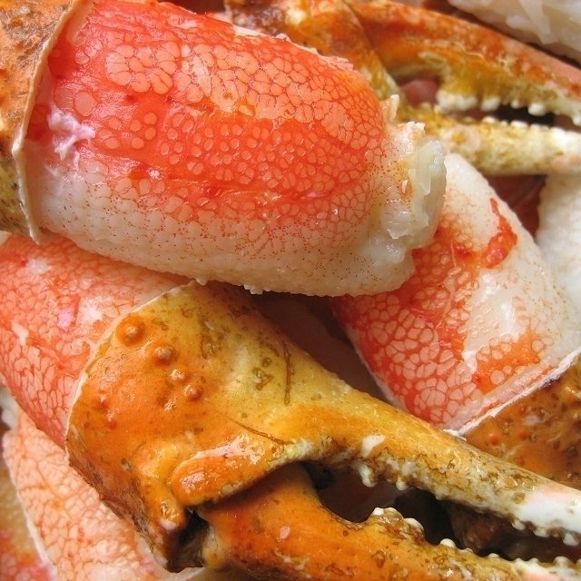 5個、美味「ずわい蟹親爪L-1kg」食べやすい、リングカット_画像2