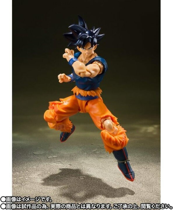 送料無料 新品 輸送箱未開封 国内正規品 魂ウェブ S H Figuarts 送料無料 新品 輸送箱未開封 国内正規品 魂ウェブ S H Figuarts