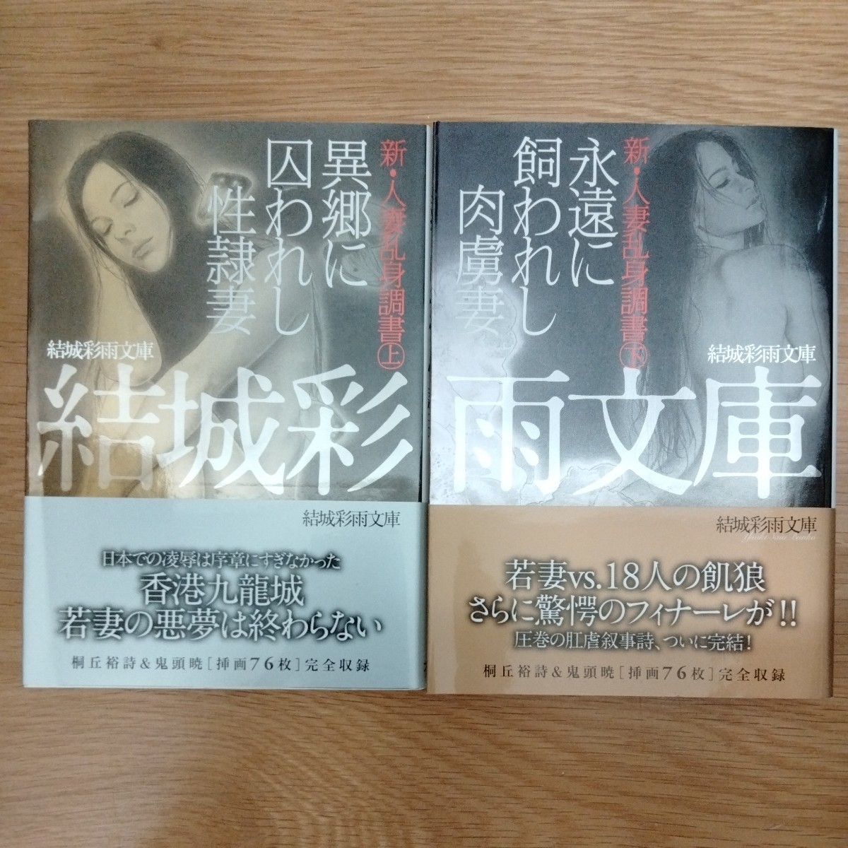 希少初版 結城彩雨文庫 奴隷妻・夏子 フランス書院 2006 - 文学/小説