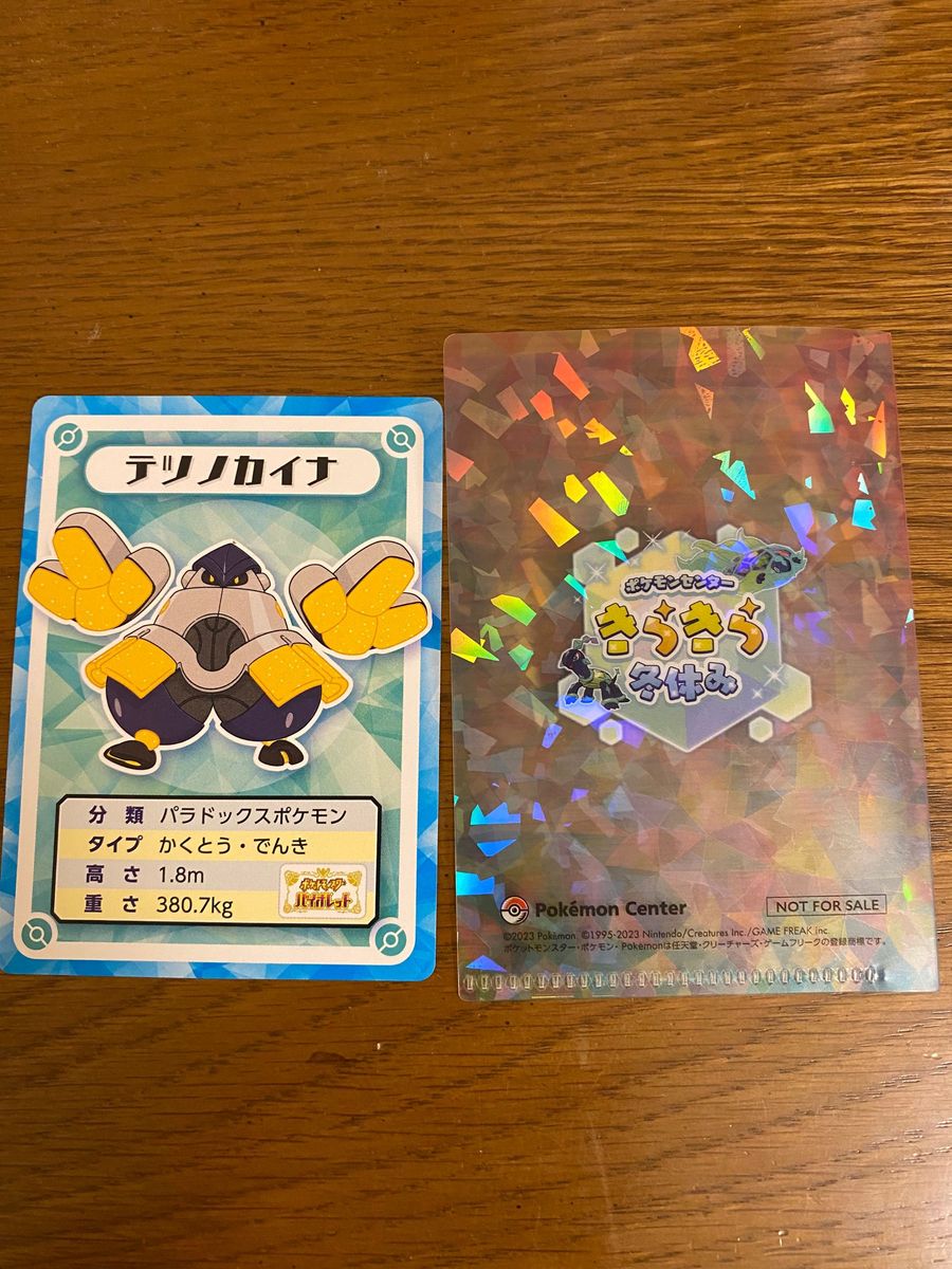 ポケモンカードデーター　ミニシート　テツノカイナ　　　テラパゴス　きらきら冬休みクリアファイル　2点セット