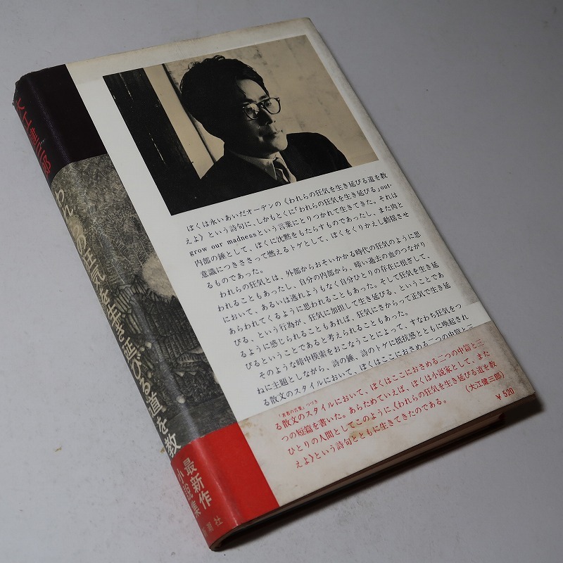 大江健三郎：【われらの狂気を生き延びる道を教えよ】＊１９６９年（昭和４４年）： ＜初版・帯＞_画像5