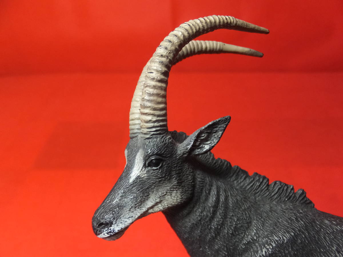 Collecta コレクタ　88564　セーブルアンテロープ（オス)　Giant Sable Antelope Male　フィギュア　中古_画像9