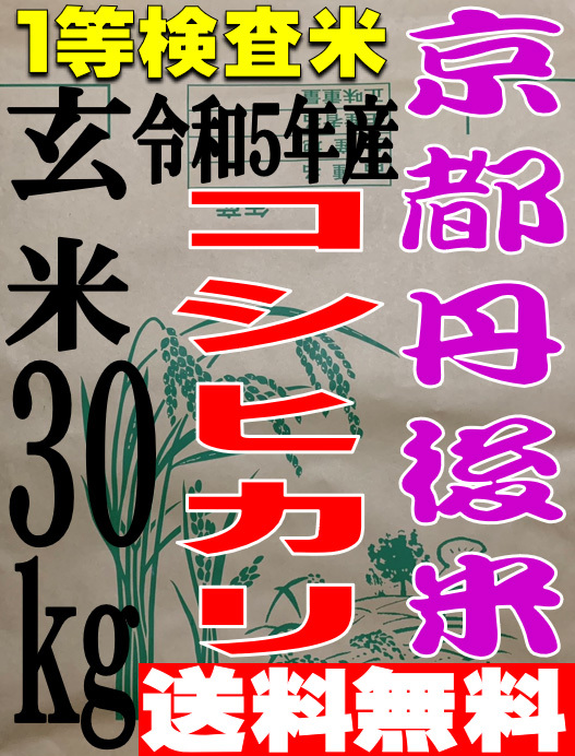 【送料無料 一等検査米】 新米 令和5年度産 京都 丹後 玄米 コシヒカリ 30kg_画像1