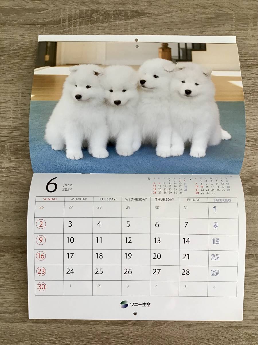 2024年 新品非売品　壁掛けカレンダー 「ゆかいな子犬たち」ソニー生命　担当者名押印なし　書込みＯＫ　プレゼントにも　動物　犬_画像3