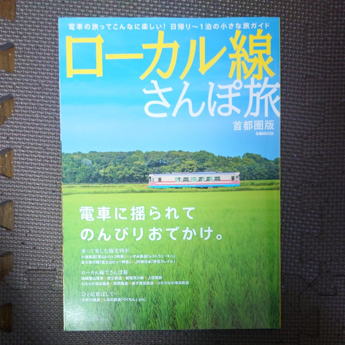 ローカル線さんぽ旅 首都圏版 電車に揺られてのんびりおでかけ。 ぴあＭＯＯＫ／ぴあ