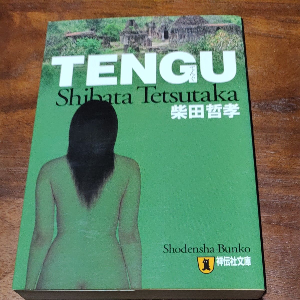 ＴＥＮＧＵ　長編推理小説 （祥伝社文庫　し８－４） 柴田哲孝／著