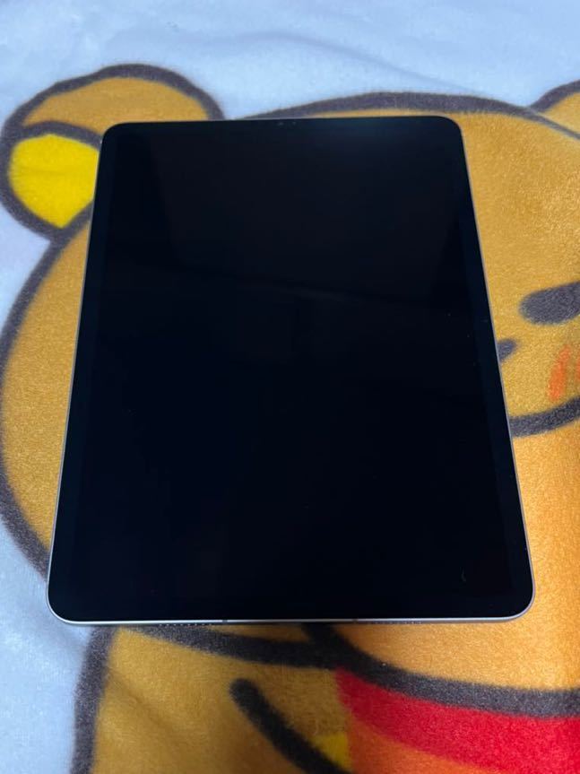 iPad pro11(第4世代) 512GB スペースグレイアップルストアセルラー(SIMフリー)版 本体のみ
