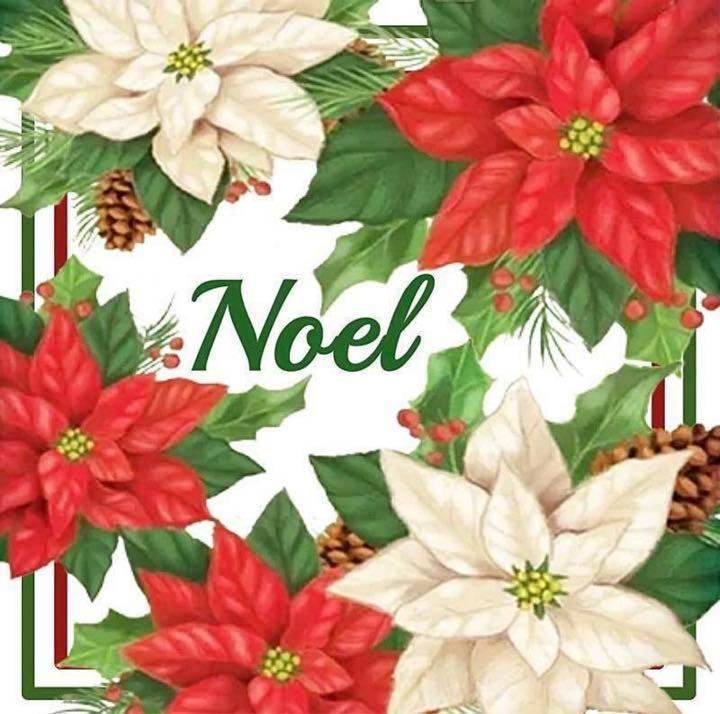 ダイヤモンドアート　ポインセチア　クリスマス　noel 　ダイアモンドアート　初心者　初級