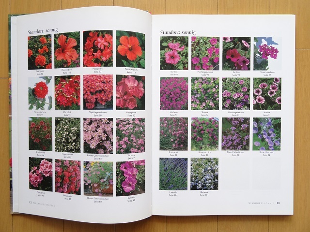 ヤフオク 洋書 バルコニーとテラスの植物写真集 本 ドイツ ヤフオク 洋書 バルコニーとテラスの植物写真集 本 ドイツ