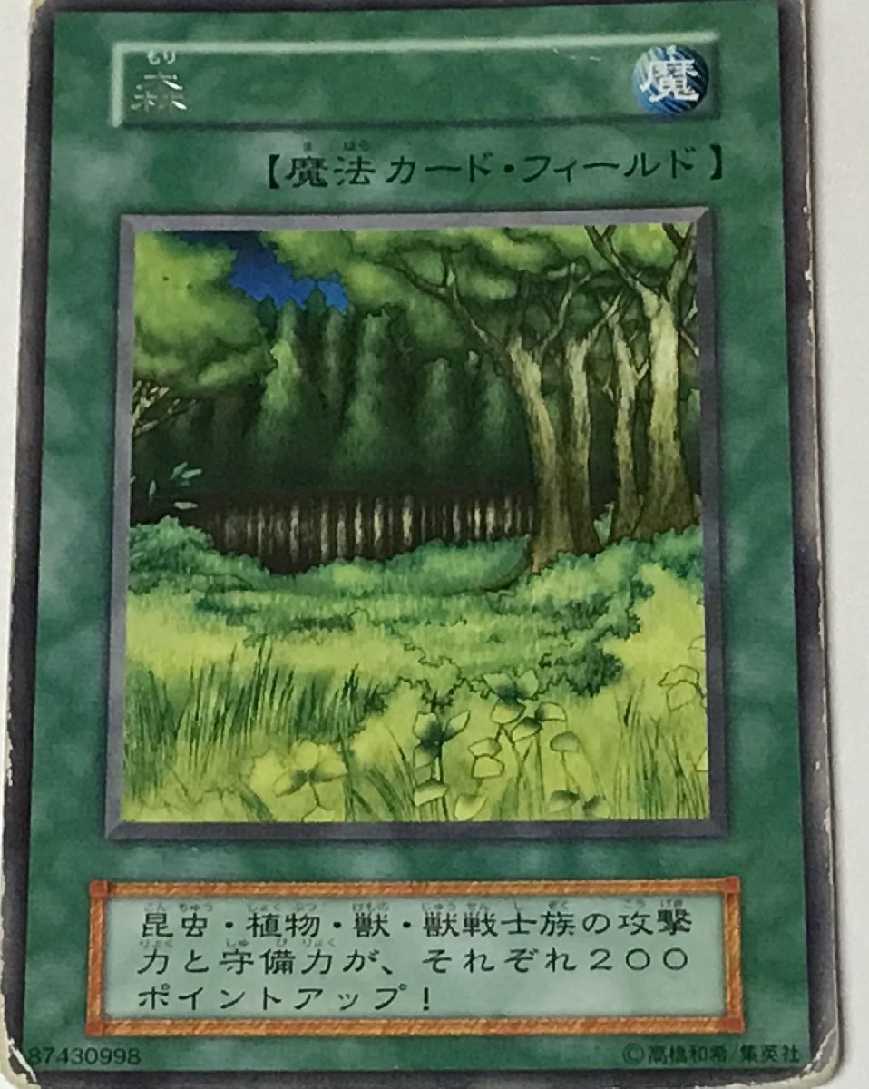 遊戯王 ジャンク 初期 レア 魔法 1枚 森_画像1