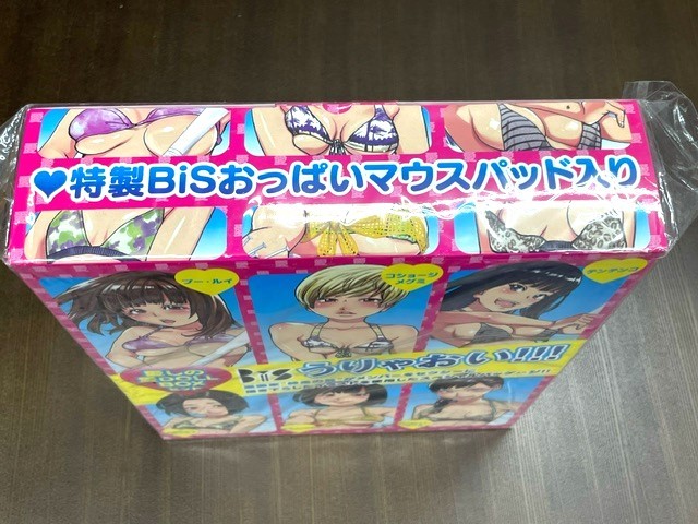 未開封! 限定品　BIS　うりゃおい！！！　愛しの愛DOLL　BOXセット　特製BISおっぱいマウスパッド入り　ファーストサマーウイカ他_画像3