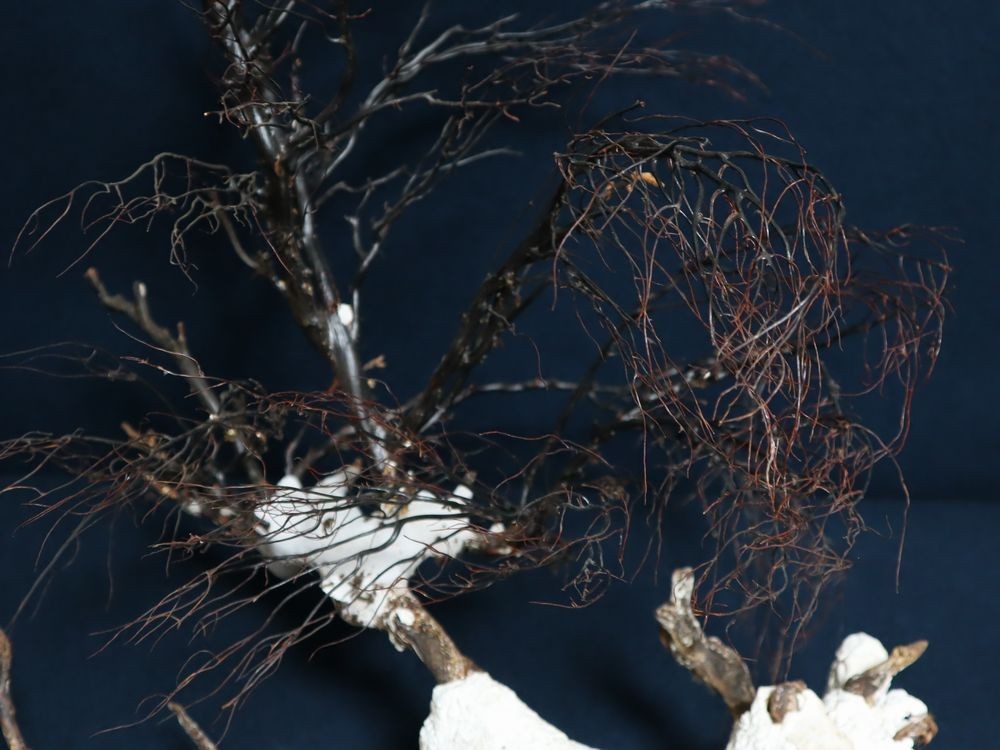 天然 海松 原木 置物 高さ53cm 古美術品 深海松 煎茶道具 雪景色 ( 検索 骨董 茶道具 盆栽 ブラックコーラル 黒珊瑚 珊瑚