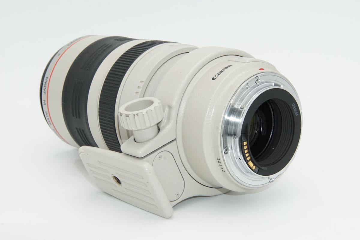 Canon キャノン EF35-350mm 3.5-5.6 L USM_画像6