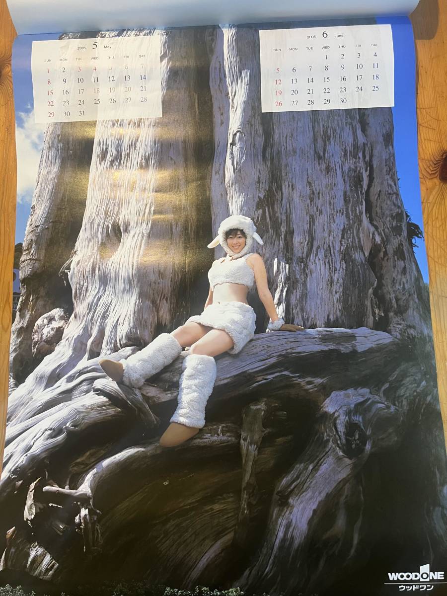 2005 год Inoue Waka календарь WOOD ONE дерево one ( новый товар не использовался товар )