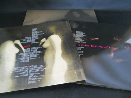 《2LP+12”》THE BIG PINK/A BRIEF HISTORY OF LOVE[◎◎] _画像2