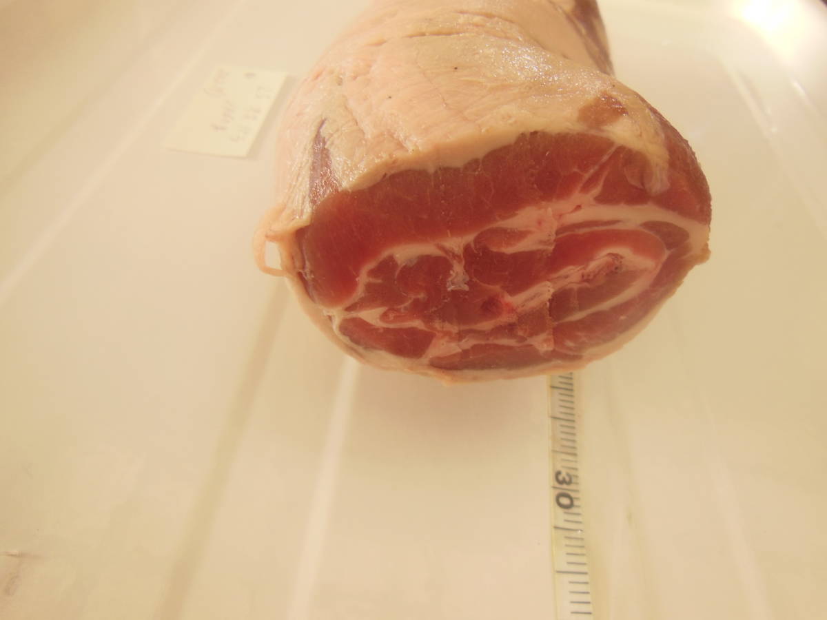 福岡県産天然猪肉　令和5年　オス　（２０２－７）　バラ　１０６０ｇ_画像4