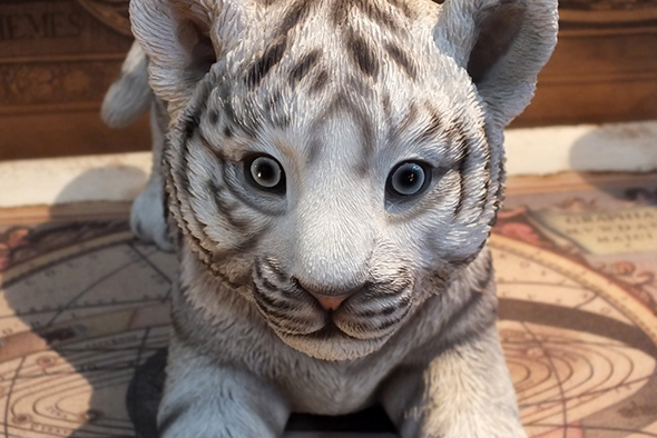 虎の置物 ホワイトタイガー 白虎の子供 スタチュー アニマルフィギュア トラの置物 オブジェ