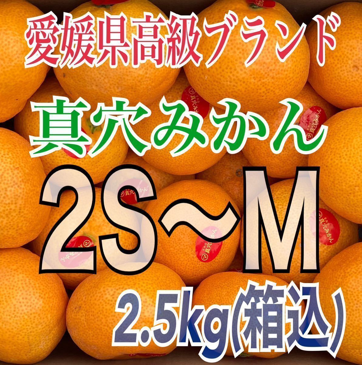 ⑤『常温便』愛媛県西宇和産 真穴みかん 2S〜Mサイズ 2.5kg 【箱込】 【真穴共選正規品】_画像1