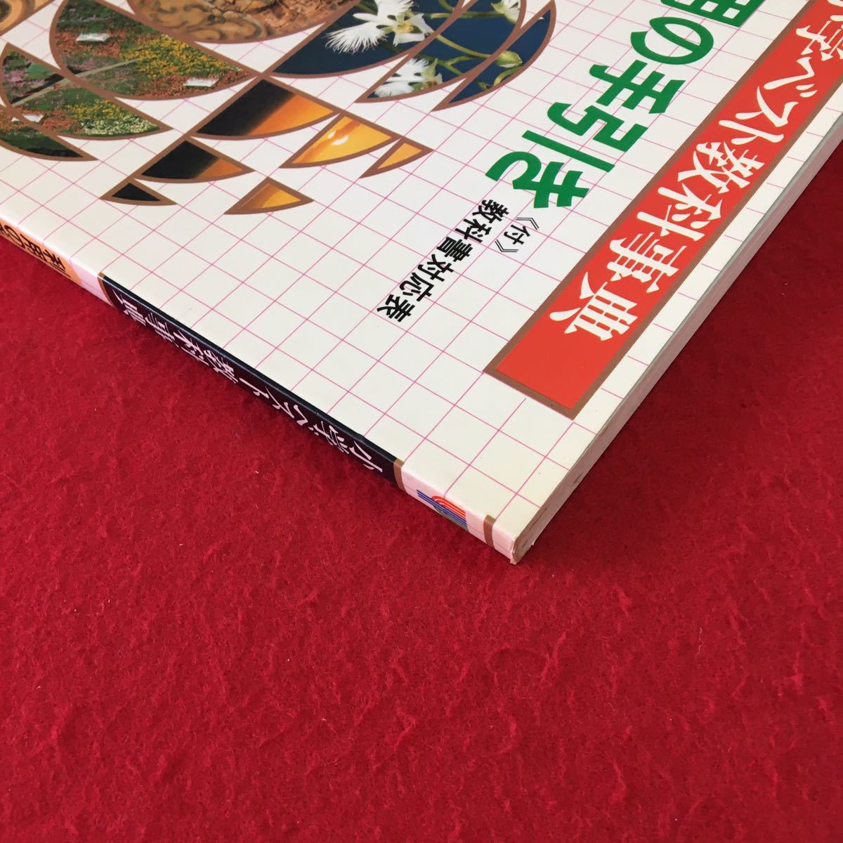 S7e-287 小学ベスト教科事典 利用の手引き 国語 算数 理科 社会 図工 音楽 体育 家庭 自由研究 発行年月日記載なし_画像3