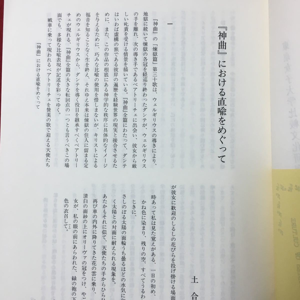 S7g-249 東京女子大学 比較文化研究所紀要 第57巻 目次/『神曲』における直喩をめぐって 写実と紋切り型 1996年1月1日発行_画像6