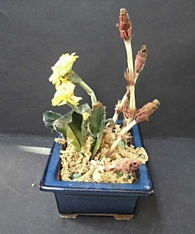 ★ 62138 置物 『 つくし / たんぽぽ 』 植木鉢付 W14xD10.8xH20cm 春の訪れ 造花 和風 植物 中古 ★*_画像5