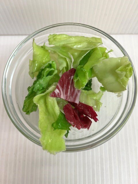 * 95694 food sample Mini salad lettuce purple cabbage glass bowl attaching diameter 12 × height 5.5. used *