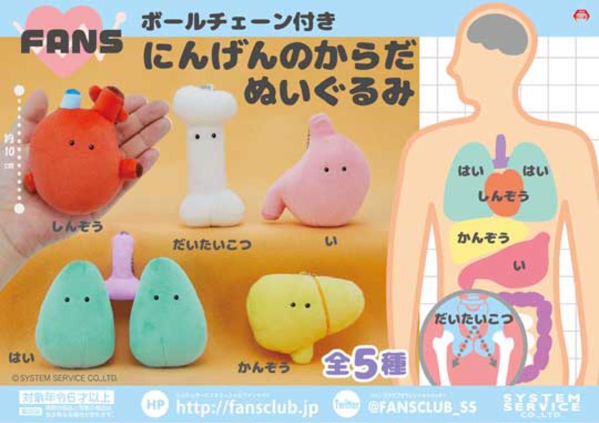 新品未使用 FANSにんげんのからだぬいぐるみ しんぞう(ボール 新品未使用 FANSにんげんのからだぬいぐるみ しんぞう(ボール