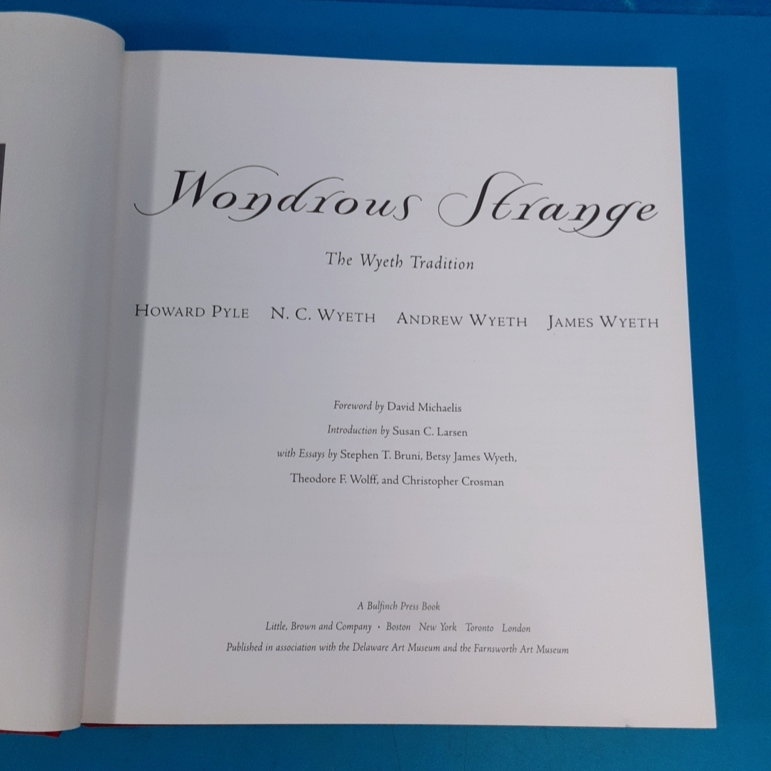 「ワイエスの伝統 The Wondrous Strange: The Wyeth Tradition Howard Pyle,N.C Wyeth, Andrew Wyeth, James Wyeth 1998」_画像2