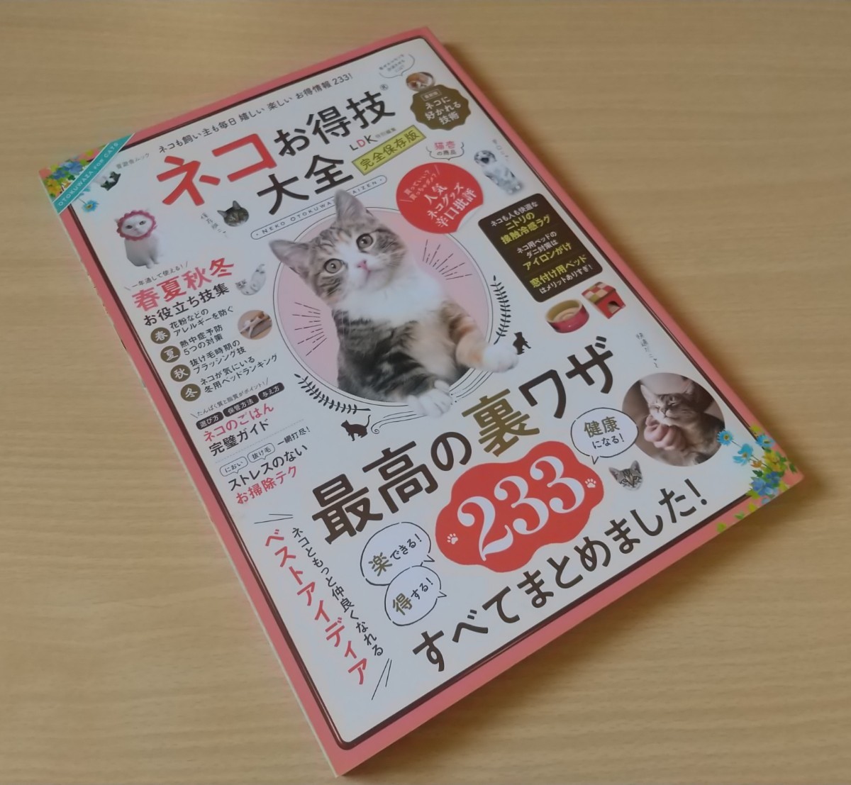 即決◆ネコお得技大全 LDK特別編集2021◆春夏秋冬お役立ち技集 ネコごはん お掃除テク ネコグッズ辛口批評 最高の裏ワザ233 _画像2