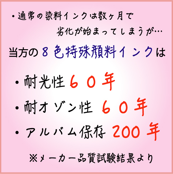 KRHM020 初音ミク vocaloid 高画質 高品質 A4 サイズ アート ポスター アニメ 美少女 セクシー 同人 巨乳 美尻 下着 フェチ_画像4