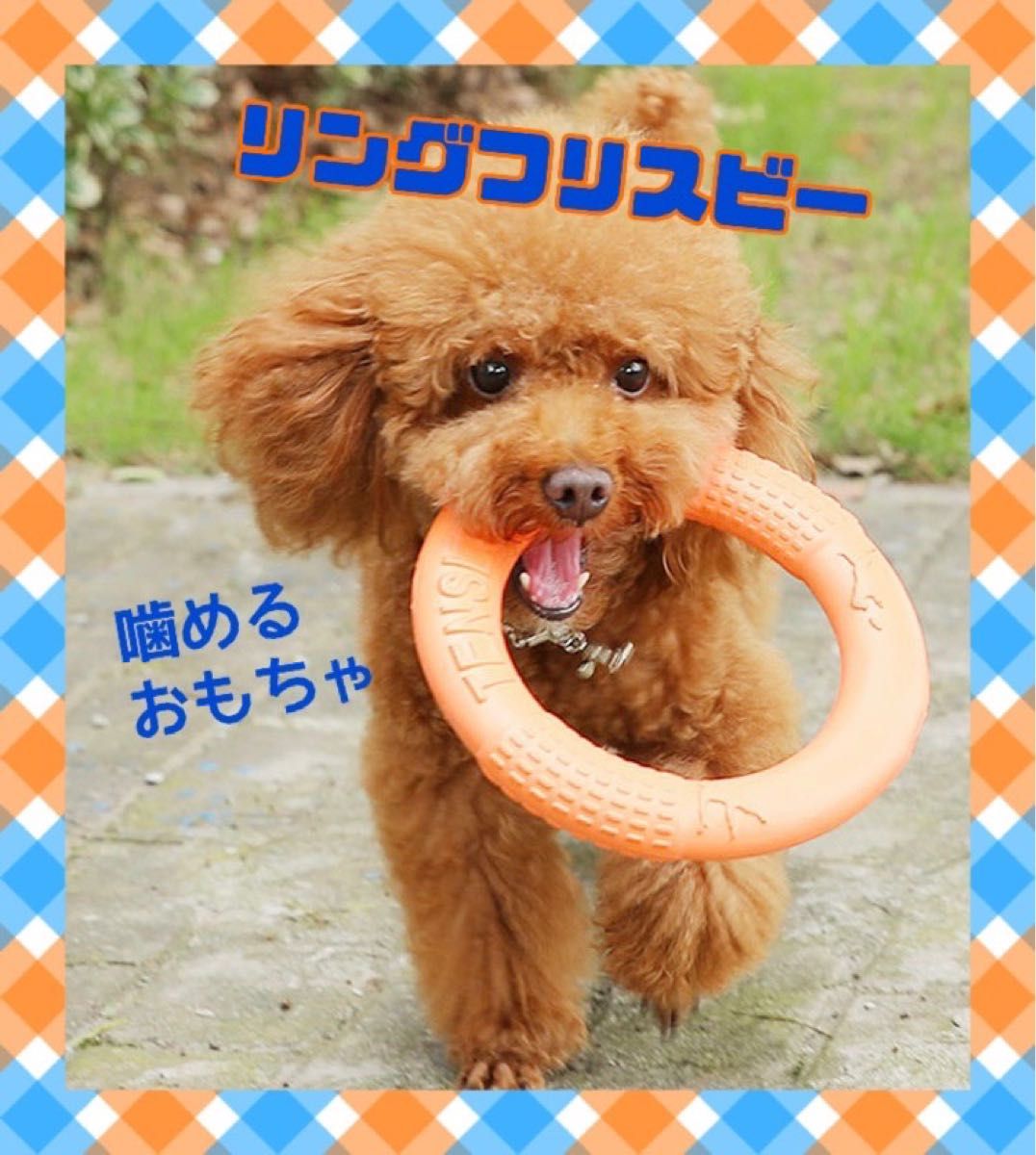 犬用　フリスビー　オレンジ　噛めるおもちゃ　ストレス発散　運動　スキンシップ　運動不足解消　遊び　犬　おもちゃ　カミカミ