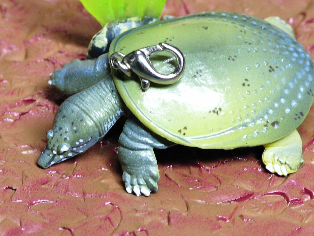 * черепаха san ремешок для мобильного телефона дальневосточная черепаха .. ремешок * аквариум аксессуары netsuke 